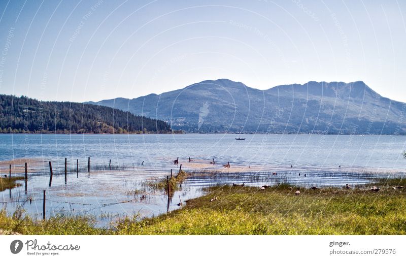 Canada B.C. Shuswap Lake Environment Nature Landscape Earth Water Sky Cloudless sky Summer Beautiful weather Hill Rock Mountain Peak Waves Coast Lakeside