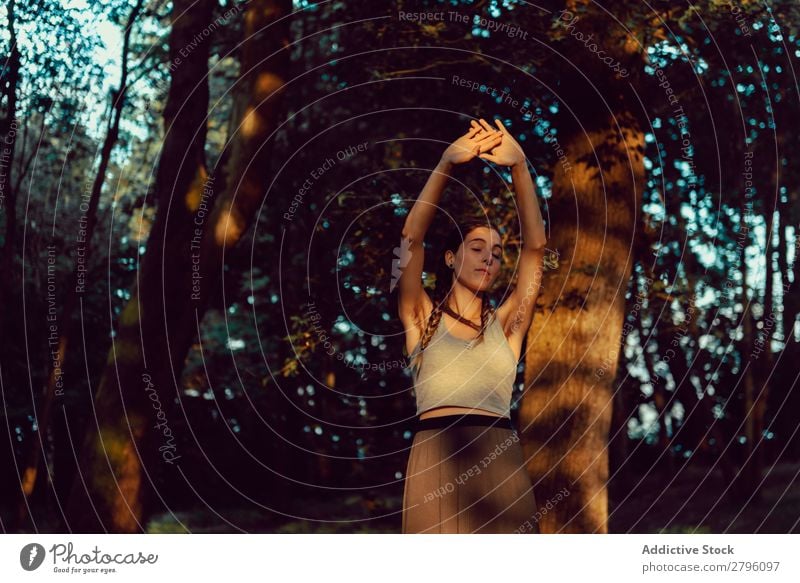 Young woman in majestic forest Woman Forest Calm raised arms Harmonious Nature Lifestyle Youth (Young adults) Landscape Tree Hippie Relaxation Rest tranquil