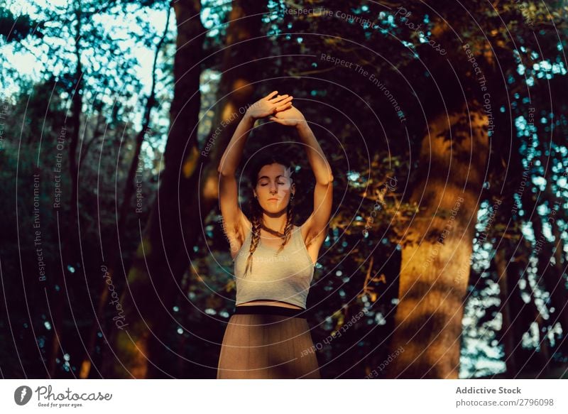 Young woman in majestic forest Woman Forest Calm raised arms Harmonious Nature Lifestyle Youth (Young adults) Landscape Tree Hippie Relaxation Rest tranquil