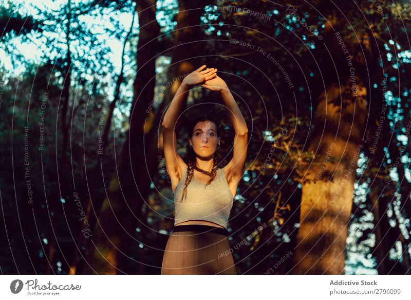 Young woman in majestic forest Woman Forest Calm raised arms Looking away Harmonious Nature Lifestyle Youth (Young adults) Landscape Tree Hippie Relaxation Rest