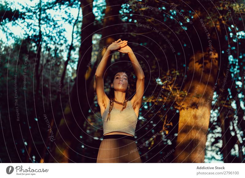 Young woman in majestic forest Woman Forest Calm raised arms Looking away Harmonious Nature Lifestyle Youth (Young adults) Landscape Tree Hippie Relaxation Rest