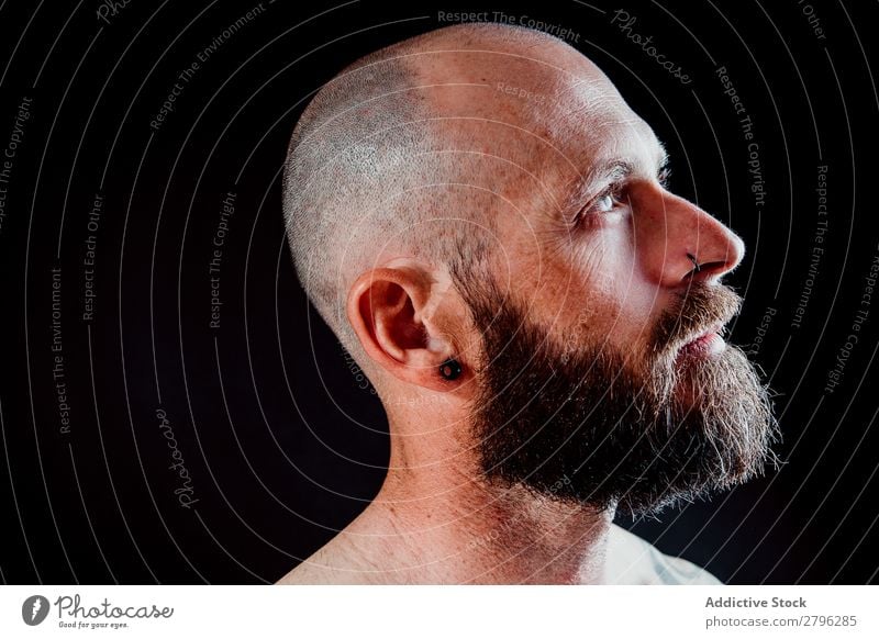 Pensive adult bearded man Man shirtless Hipster Earring Piercing Considerate Bald or shaved head Guy handsome Head Cool (slang) Studio shot hairless Interest