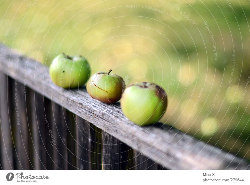 Three times green Food Fruit Apple Nutrition Organic produce Vegetarian diet Summer Autumn Garden Fresh Delicious Juicy Sour Green Apple harvest Fence