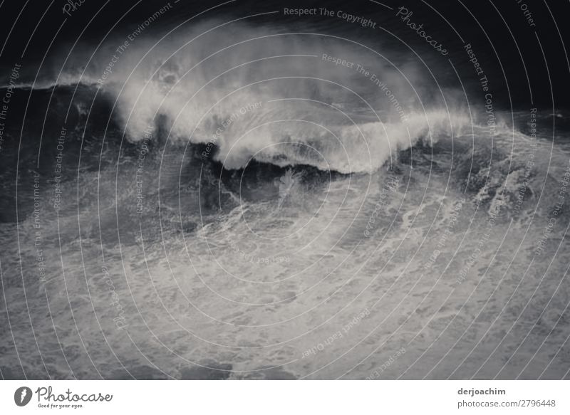 Storm's coming. Very strong waves . Cyclone OMA hits the Queensland coast Leisure and hobbies Trip Environment Nature Elements Water Summer Bad weather Gale