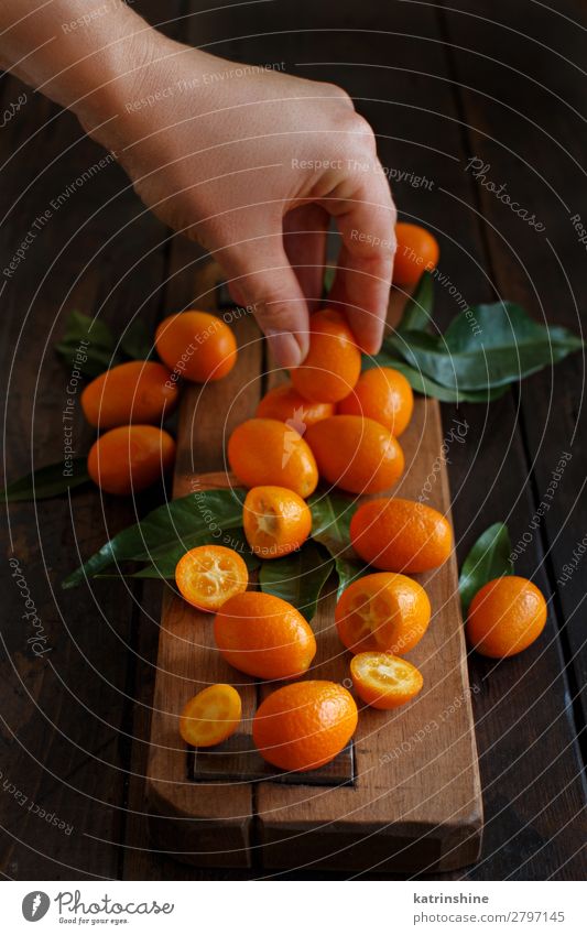 Kumquat fruits on a dark wooden background Fruit Dessert Nutrition Vegetarian diet Diet Exotic Hand Group Leaf Dark Fresh Natural Juicy Brown Yellow Colour