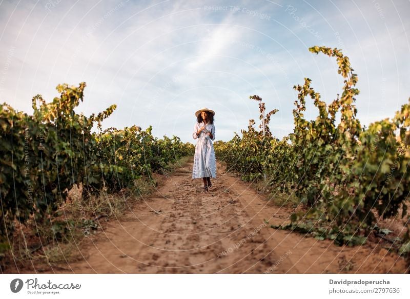 Young woman walking in a path in the middle of a vineyard Winery Vineyard Woman Bunch of grapes Walking Organic Lanes & trails Harvest Happy Agriculture Green