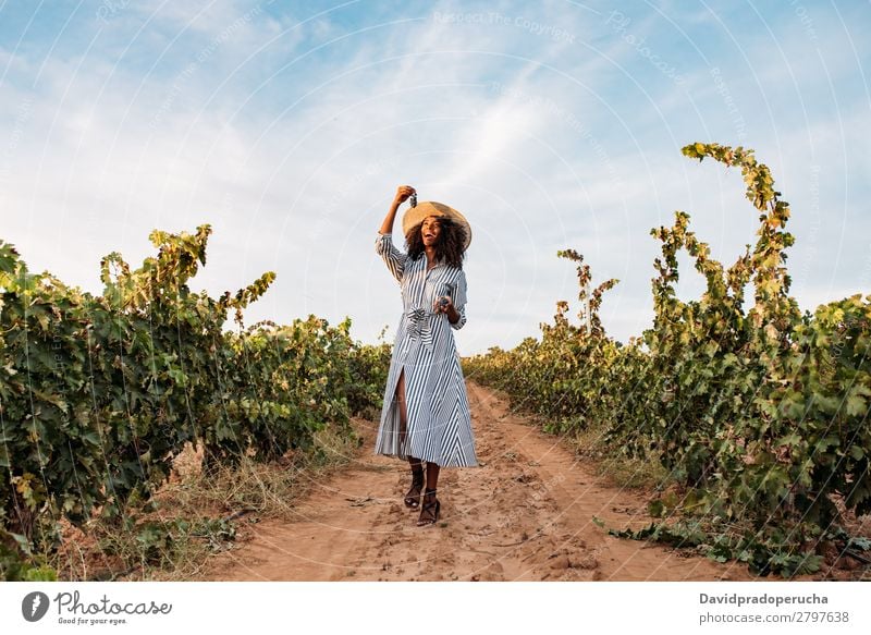 Young woman walking in a path in the middle of a vineyard Winery Vineyard Woman Bunch of grapes Walking Lanes & trails Organic Harvest Happy Agriculture Green