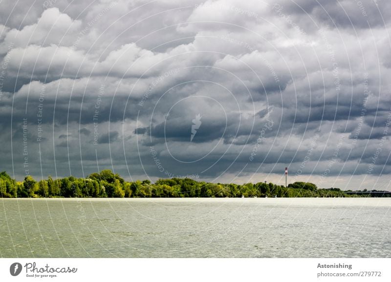 Danube island Environment Nature Landscape Plant Water Sky Clouds Storm clouds Horizon Summer Climate Weather Bad weather Warmth Tree Bushes Forest River bank