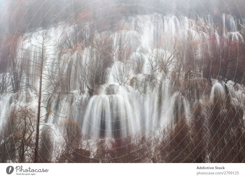 Wonderful waterfall near tree Waterfall Wild cascade rio cuervo Spain Cuenca falling Tree Stream Height Amazing Wood Rock Mountain Beautiful Nature Stone Plant