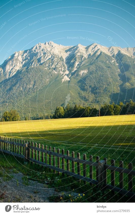 Tyrolean mountains in the morning Summer vacation Mountain Landscape Cloudless sky Beautiful weather Meadow Federal State of Tyrol Peak Illuminate Authentic