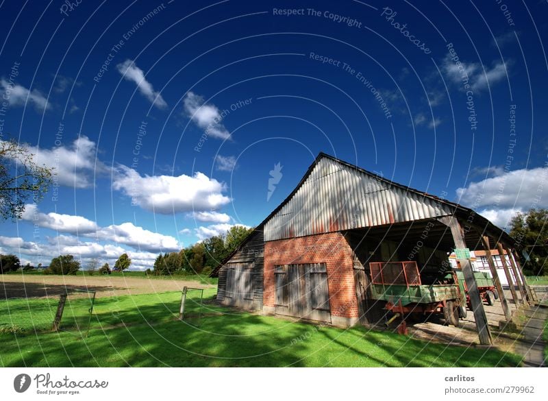 Autumn (t) Environment Nature Landscape Sky Clouds Meadow Field Building Wall (barrier) Wall (building) Facade Esthetic Blue White Green Barn Gate