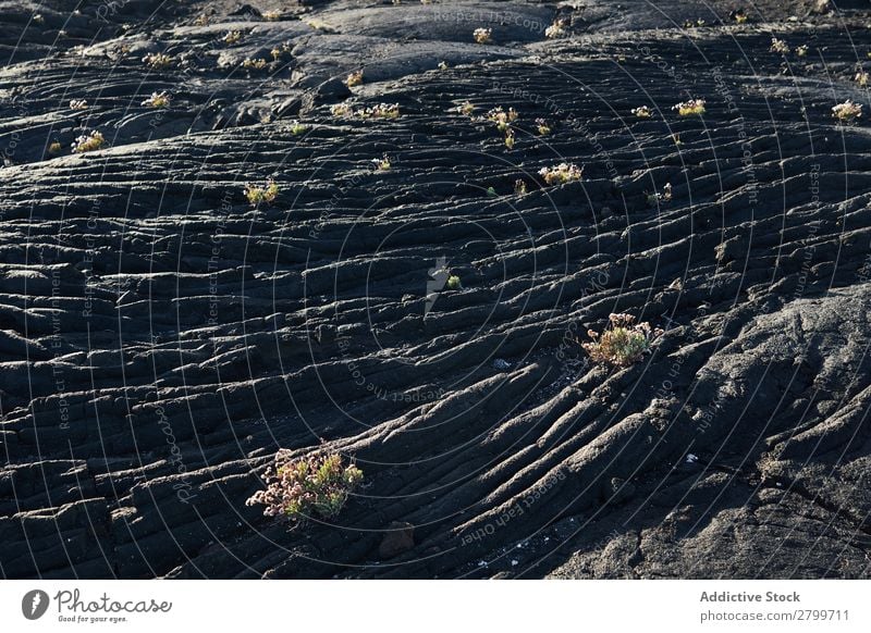 Texture of rough stone Stone Consistency Rough Surface textured Abstract Material Old Gray Natural Black Veins Sunlight Granite Detail Grunge Rock Close-up