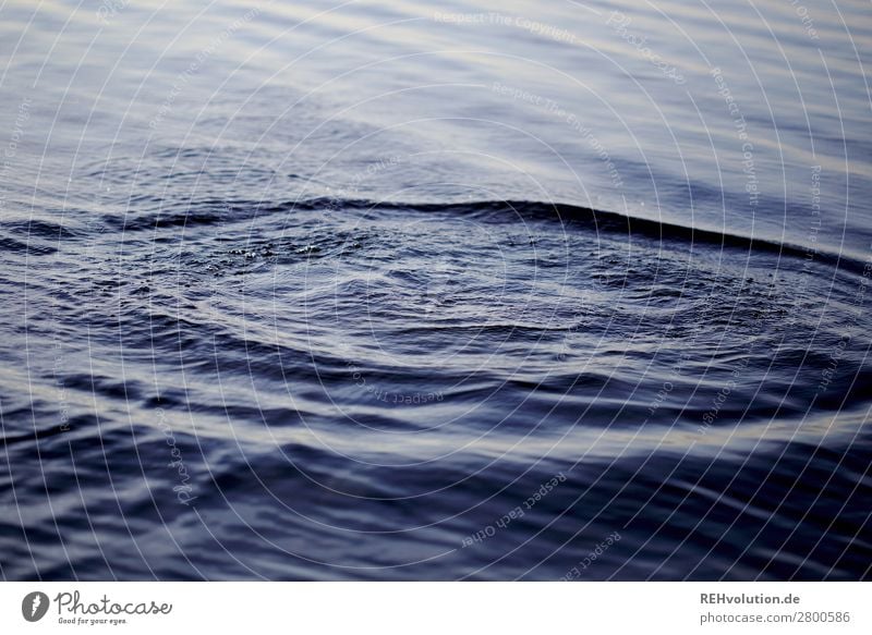 Water Surface of water Body of water Lake Waves background Background picture Wet Fresh Cold Deep Blue Exterior shot Reflection Environment