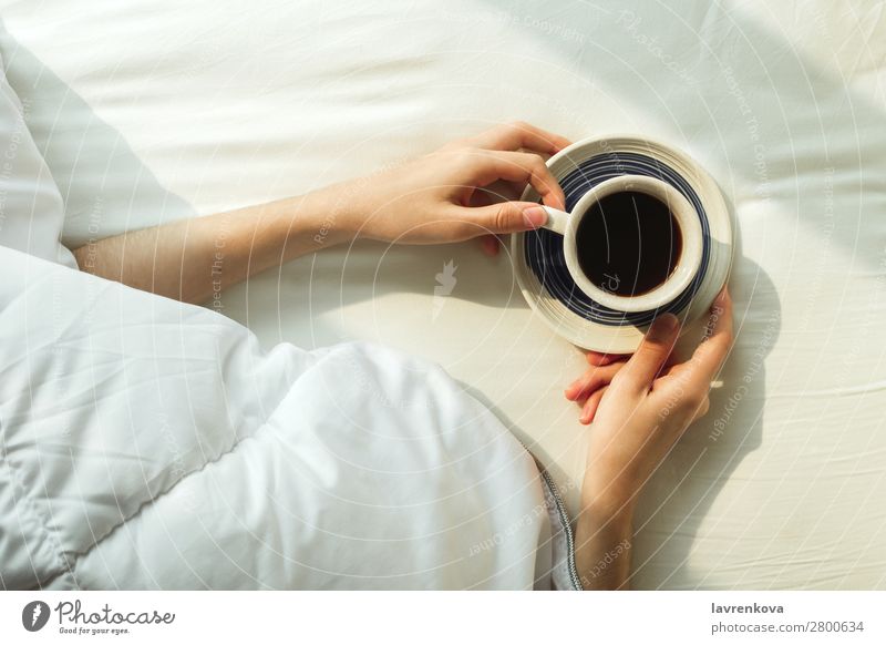 Flatlay of woman's hands covered by blanket holding coffee Beautiful Bedroom Breakfast Coffee Safety (feeling of) Cozy Cup Beverage Woman flatlay Young woman