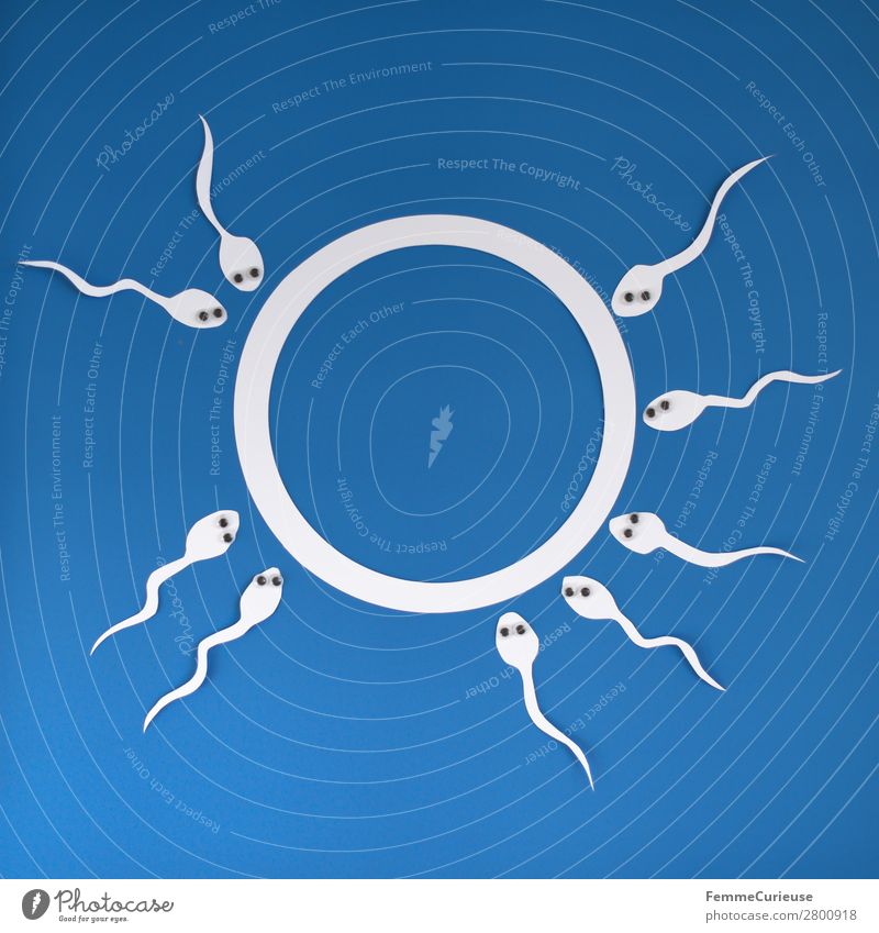 Reproduction - Sperm with wobbly eyes swimming to egg cell Sign Sex Sexuality Paper Low-cut White Blue Egg cell Eyes Fertilization Fertile Pregnant Propagation