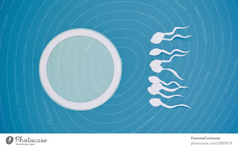 Reproduction - Sperm swimming to egg cell Sign Sex Sexuality Egg cell Low-cut Paper White Blue Symbols and metaphors Fertilization Childhood wish Pregnant