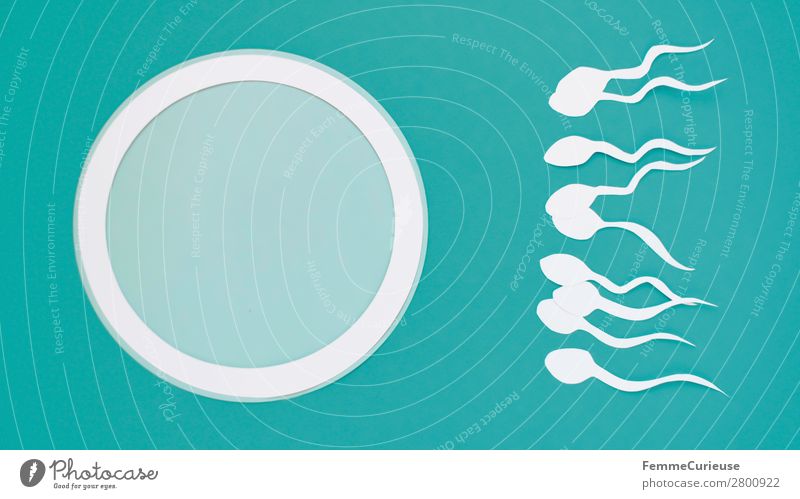 Reproduction - Sperm swimming to egg cell Sign Sex Sexuality Family planning Childhood wish Egg cell Turquoise White Propagation Symbols and metaphors