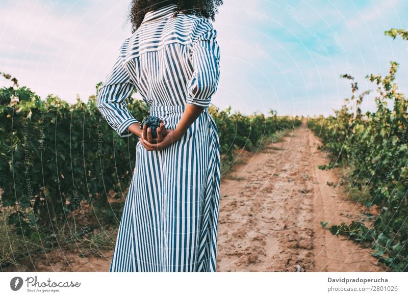 Young woman walking in a path in the middle of a vineyard Winery Vineyard Woman Bunch of grapes Stand Organic Harvest Lanes & trails Agriculture Green