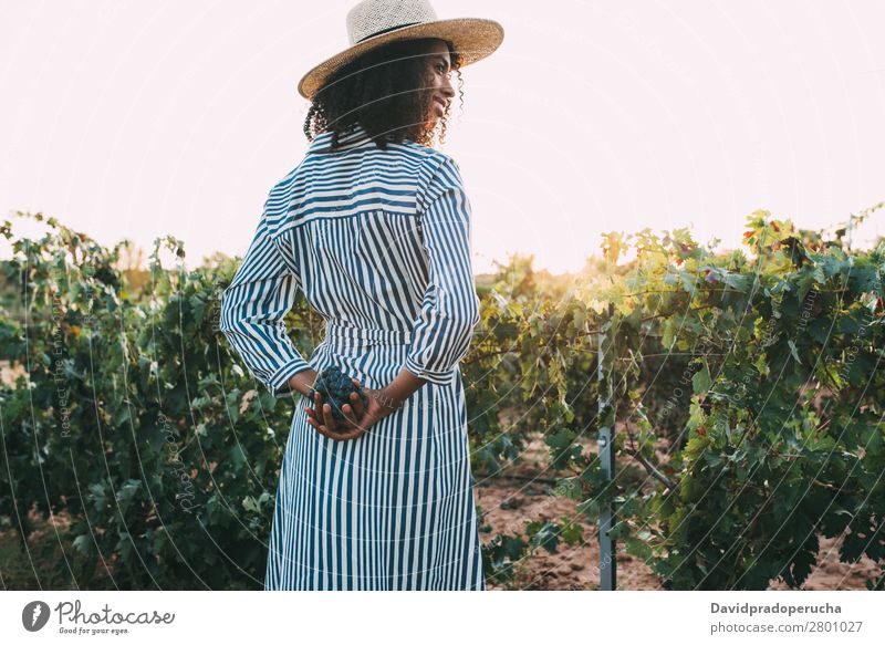 Woman standing in a path in the middle of a vineyard Winery Vineyard Bunch of grapes Stand Organic Harvest Happy Agriculture Green Accumulation Rural tasting