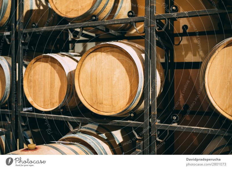 Wood wine barrels stored in a winery on the fermentation process Winery Cellar Vintage oak Storage Drinking Beverage Keg flavor Production Line Factory