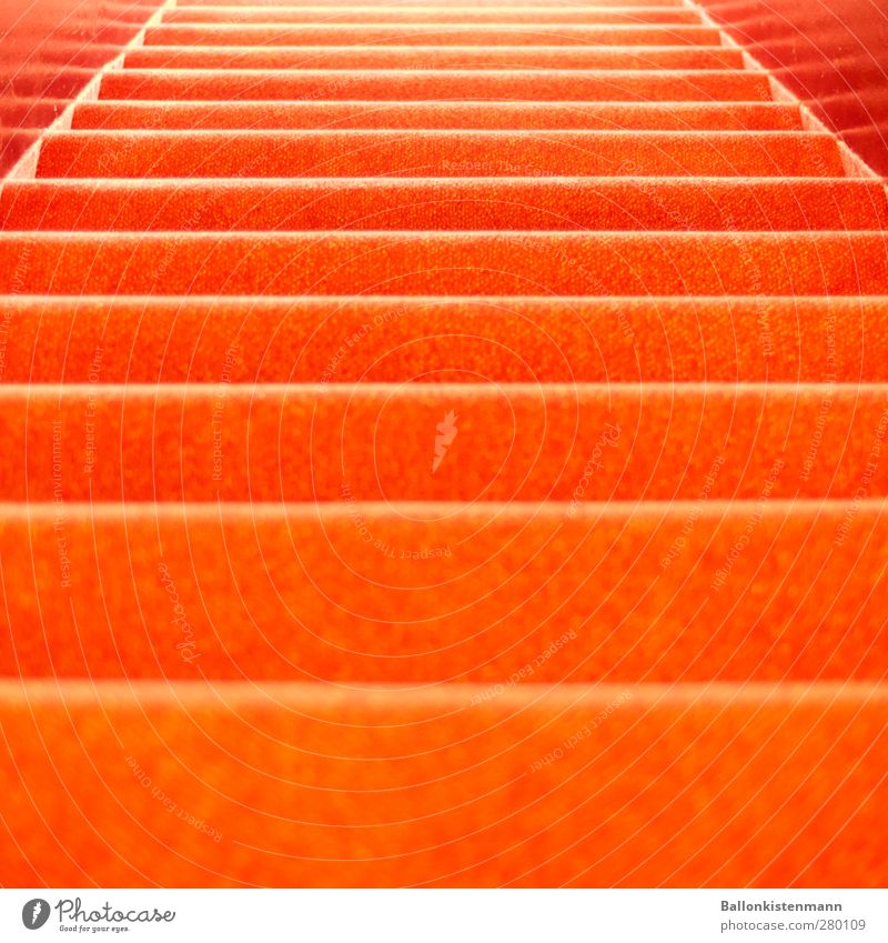 A tree-carpet! Flat (apartment) Interior design Entertainment Event Architecture Theatre Stairs Retro Trashy Orange Red Red carpet Hotel Colour photo