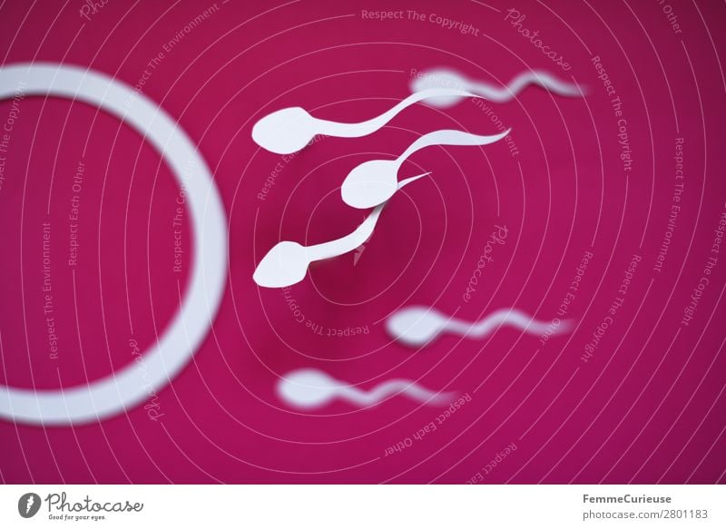 Reproduction - Sperm swimming to egg cell Sign Sex Sexuality Egg cell Illustration Graph Pink Paper Low-cut Childhood wish Pregnant Propagation Fertile