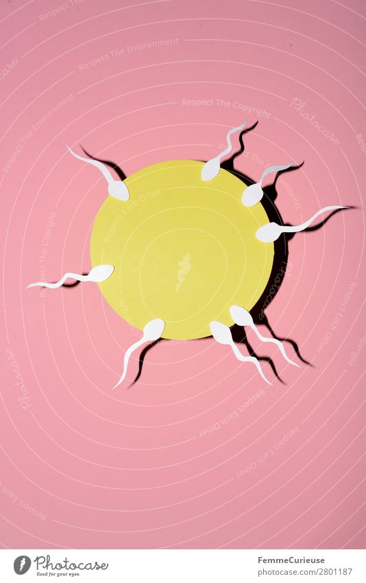 Reproduction - Sperm swimming to egg cell Sign Sex Sexuality Egg cell Fertilization Biology Family planning Propagation Pink Yellow White Illustration