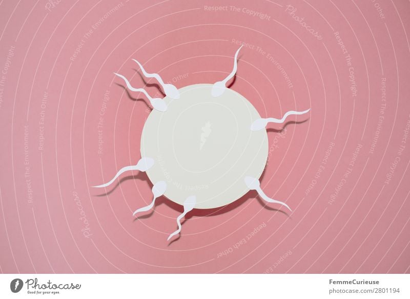 Reproduction - Sperm swimming to egg cell Sign Sex Sexuality Egg cell Fertilization Family planning Childhood wish Symbols and metaphors Illustration Pink White