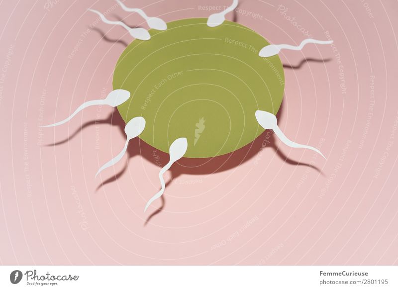 Reproduction - Sperm swimming to egg cell Sign Sex Sexuality Caught by a speed camera Drop shadow Egg cell Pink White Propagation Fertilization Family planning