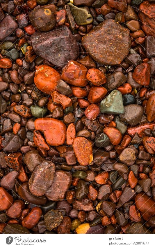 Wet Red Pepples At Atlantic Coast in Scotland arrangement background beach beautiful brown close closeup coast coastal colorful concept decorative design detail