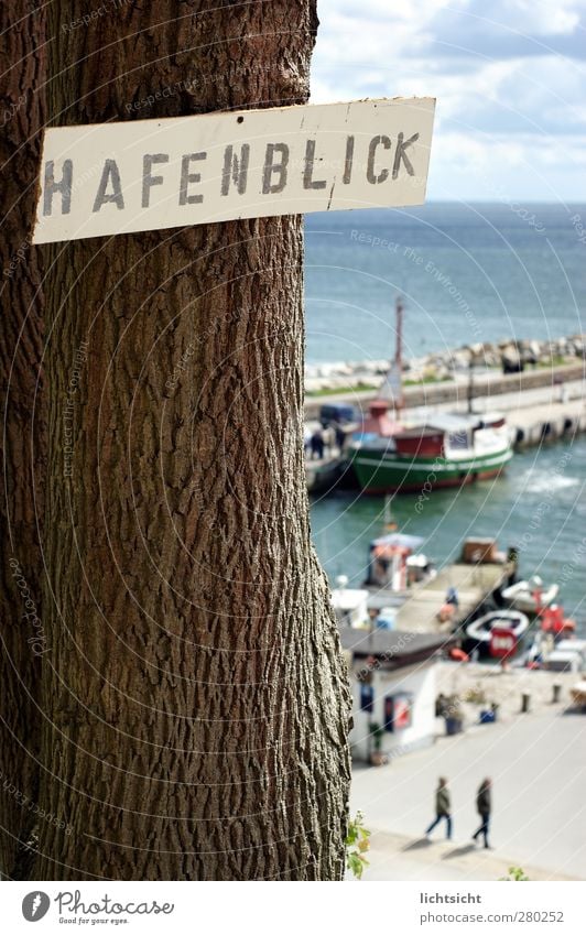 harbour view Landscape Sky Clouds Beautiful weather Tree Coast Baltic Sea Ocean Island Fishing village Port City Harbour Tourist Attraction Idyll Sassnitz Rügen