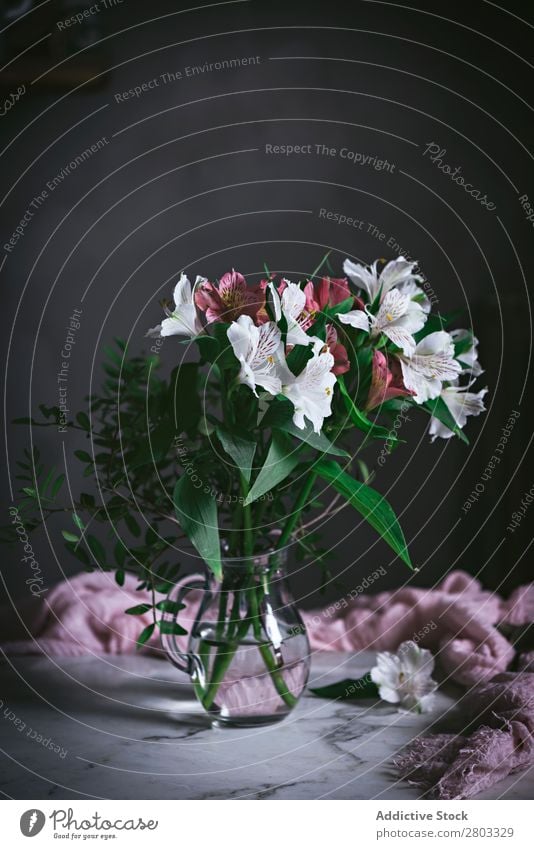 Jar of flower on table decorating Flower Pink Table Decoration Fresh Wood Copy Space Vertical Daisy Leaf Floral jar Close-up Blossom Green Blossom leave Nature