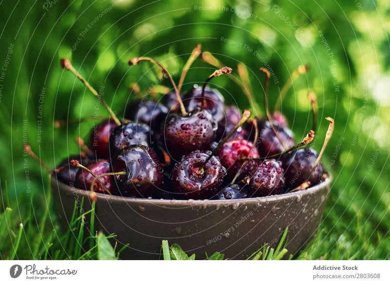 Bowl with wet cherries on grass Fresh Wet Grass Garden Healthy Mature Sweet Fruit Summer Berries Food Raw Dessert Organic Juicy Tasty Delicious yummy Vegan diet