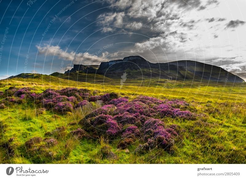 Old Man Storr Rock Formation on the Isle of Skye in Scotland Mountain Famousness Versatile Blossoming Flower Loneliness Geology Peak Great Britain