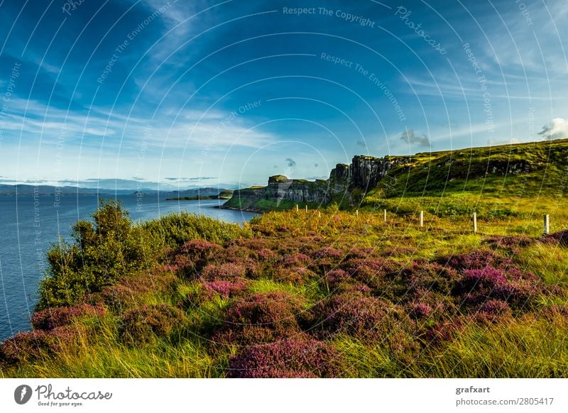 Coast near Kilt Rock on the Isle of Skye in Scotland Canyon Edge Atlantic Ocean Vantage point Relaxation Peaceful Great Britain Green Heather family Highlands