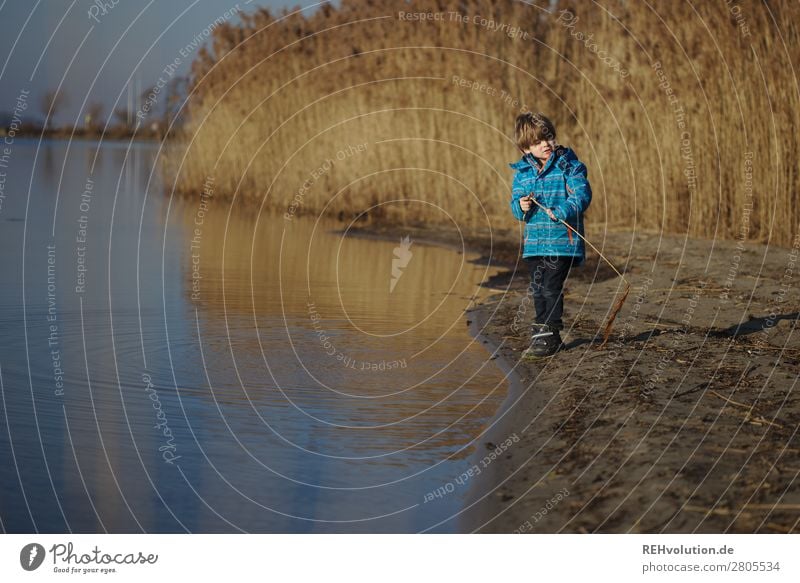 Child at the lake Lake Boy (child) Water Beautiful weather Infancy by oneself Nature Environment out In transit Exterior shot Landscape Lakeside Day