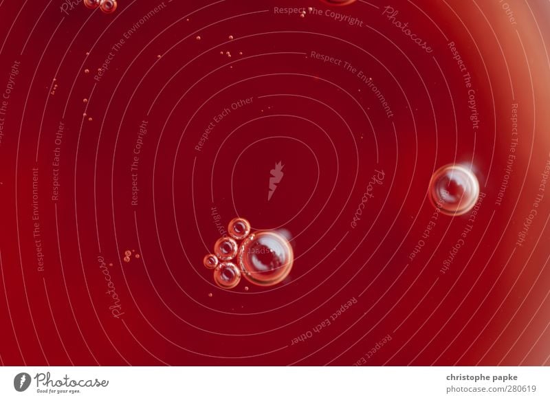 Blood in - blood out Healthy Red Blood platelet Air bubble Oily Spritzer Fluid Oxygen Beverage Close-up Experimental Abstract Pattern Copy Space middle