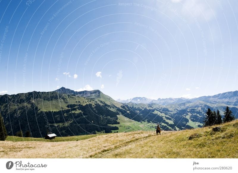 on the Wispile Well-being Relaxation Calm Trip Freedom Mountain Hiking 1 Human being Nature Landscape Plant Air Sky Summer Beautiful weather Grass Fir tree