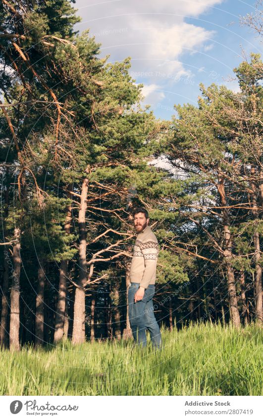 Young man in the woods enjoying a sunny afternoon Man Grass Park Forest pines Spring Lifestyle Day Nature Green Human being Background picture Sun Serene