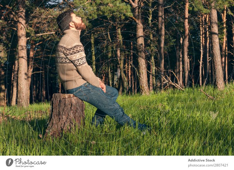 Young man in the woods enjoying a sunny afternoon Man Grass Park Forest pines Spring Lifestyle Day Nature Green Human being Background picture Sun Serene