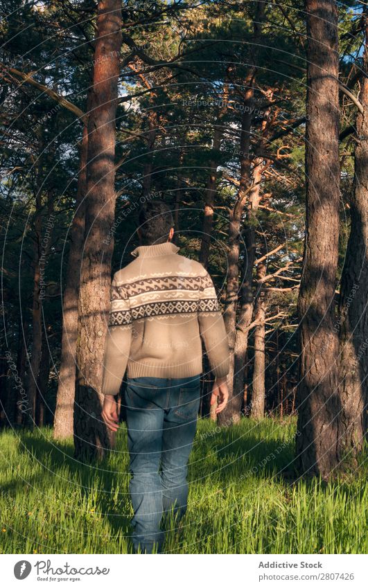 Young man in the woods enjoying a sunny afternoon Man Grass Park Forest pines Spring Lifestyle Day Nature Green Human being Background picture Sun Serene