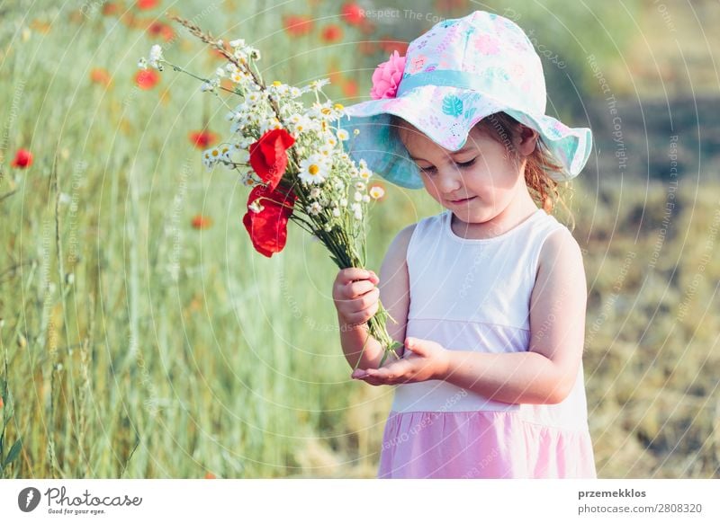 Lovely little girl in the field of wild flowers Lifestyle Joy Happy Beautiful Summer Garden Child Human being Woman Adults Parents Mother Family & Relations 1