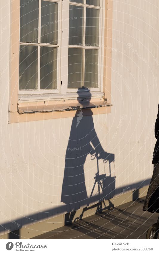 Shadow of a Lady with Rollator Human being Feminine Female senior Woman Senior citizen 1 Facade Window Pedestrian Movement Walking Old Illness Trust Walking aid