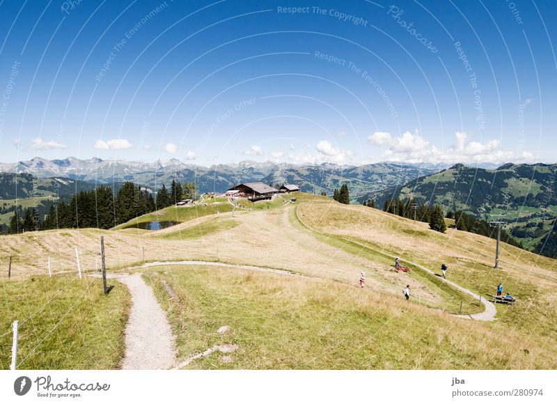 wispile Harmonious Tourism Trip Summer Mountain Hiking Ski lift Nature Landscape Grass Hay Alps Saanenland Top terminal Mountain restaurant Footpath