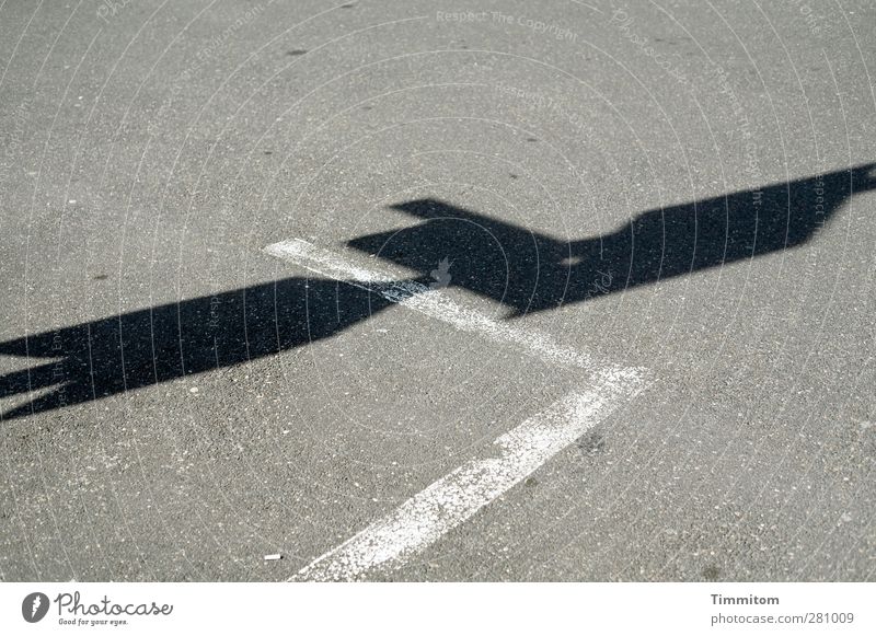 I...so.... Heidelberg Deserted Street Sign Signs and labeling Gray Black White Arrangement Calm Shadow Marker line Cigarette Butt Colour photo Subdued colour