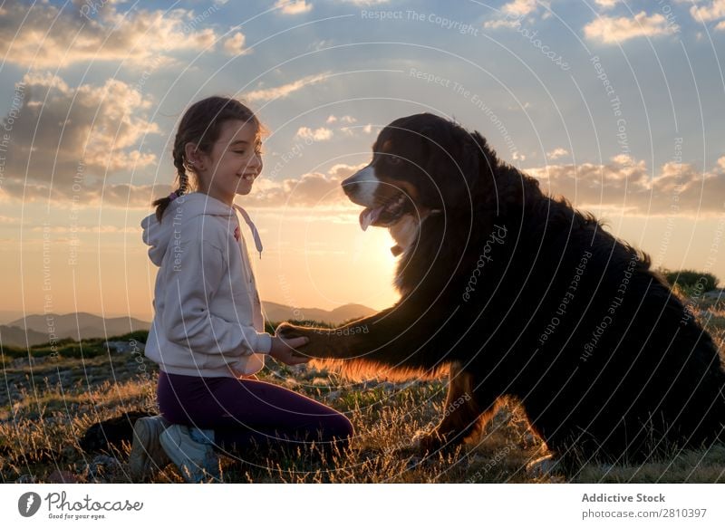 Beautiful little girl and her dog playing at sunset together Girl Dog Happy Sunset big Green Love Pet Youth (Young adults) Grass Together Child Landscape