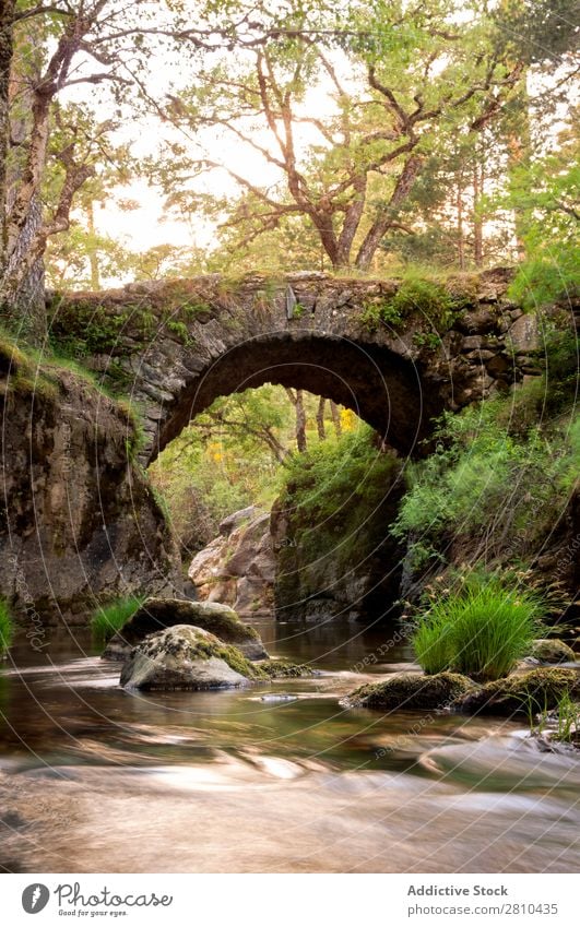 Medieval  bridge on the mountain river Bridge Sunset Old Park Nature Stone Forest River national Vintage Background picture Vacation & Travel Evening medieval