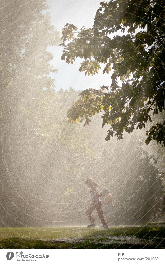 playing in the rain Human being Child Environment Nature Water Drops of water Summer Climate Beautiful weather Rain Tree Grass Chestnut tree Park Meadow Forest