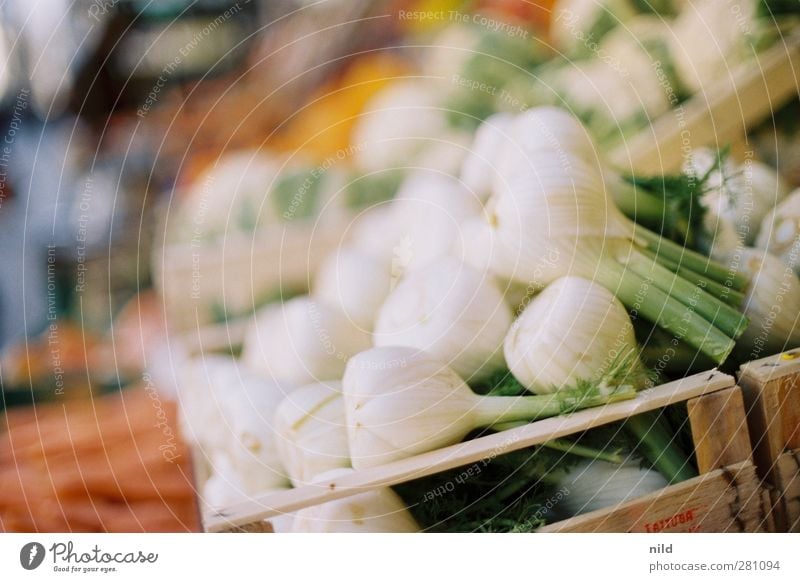 Fresh fennel Food Vegetable Fennel Nutrition Organic produce Vegetarian diet Healthy Green White Greengrocer Markets Sell Box of fruit Colour photo