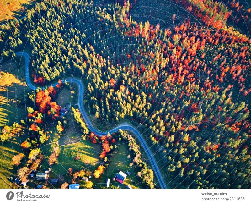 Curved road in fall forest and village. Beautiful Vacation & Travel Tourism Trip Adventure Far-off places Freedom Mountain Hiking Living or residing